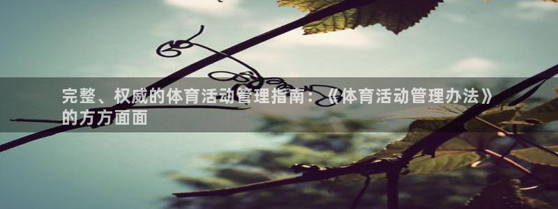 必一体育手机下载：完