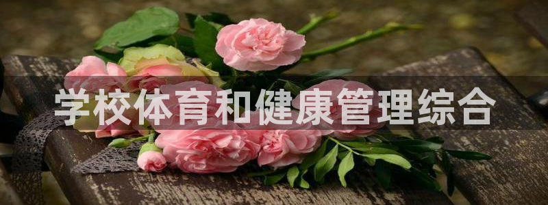 必一体育app下载最