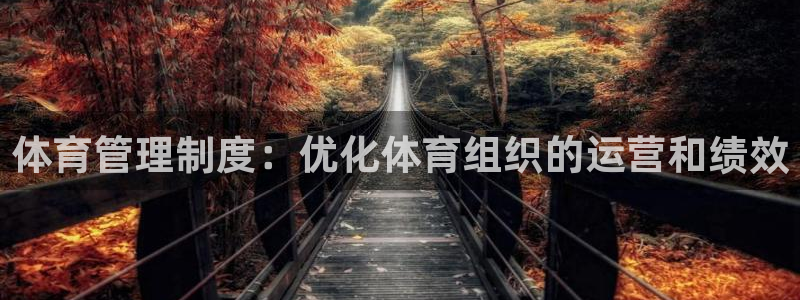 b体育必一运动网页版