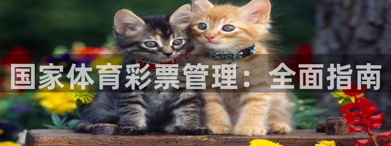 必一体育登入