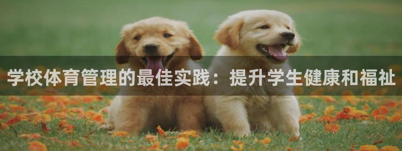 必一运动·体育
