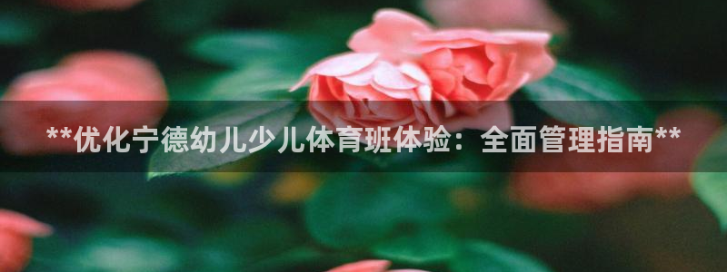必一体育手机下载：*