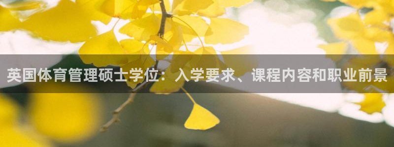 必一体育网址