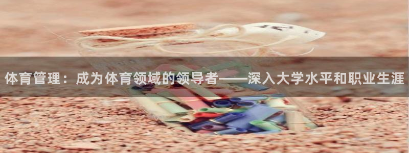 必一体育在哪下