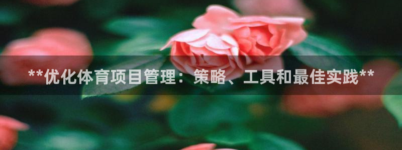 必一体育官网app：