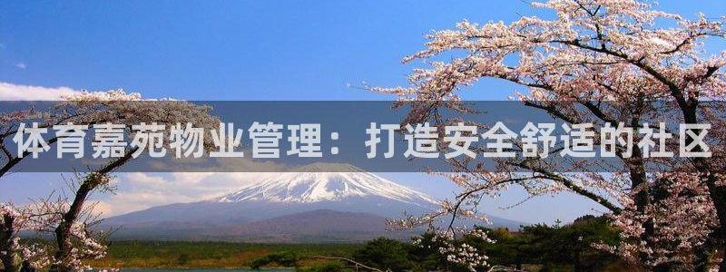 必一体育运动app：