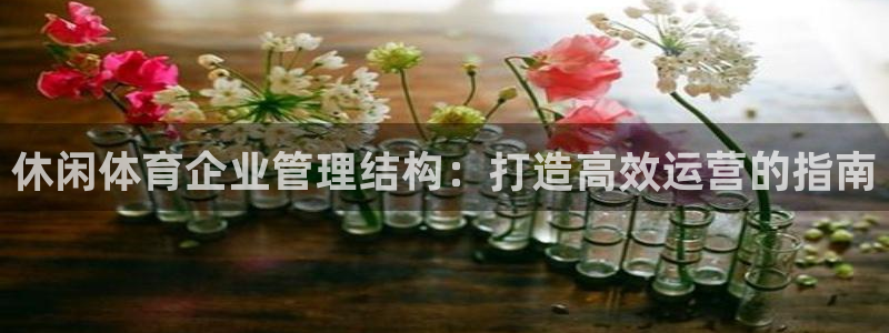 必一体育没了：休闲体
