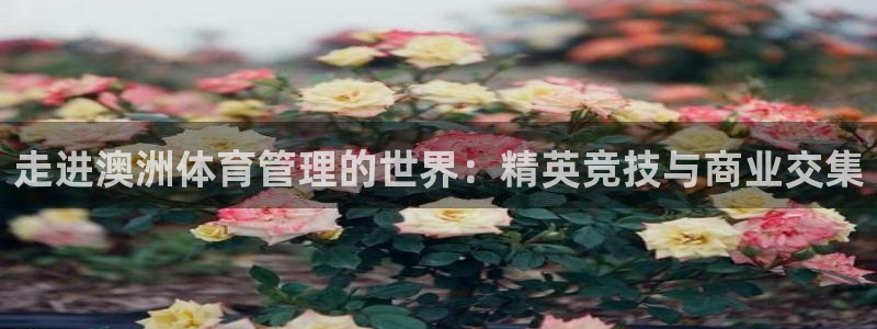 必一体育运动下载：走