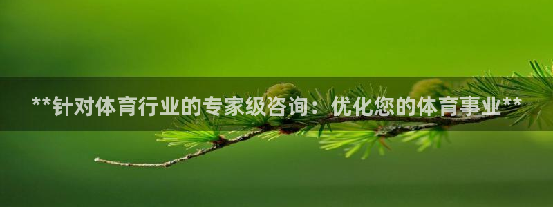 必一体育在线玩
