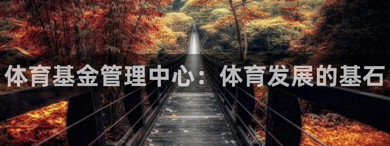 必一体育登录入口AP