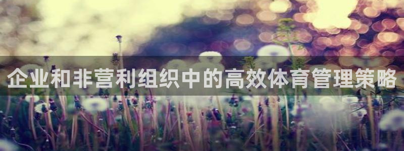 必一体育可靠吗：企业