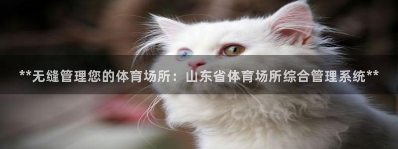 必一体育网页版登录：