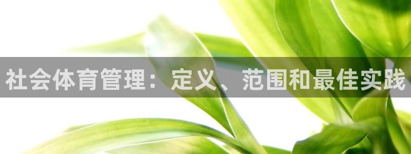 必一体育合法吗：社会