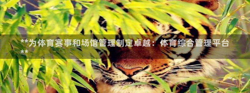 必一体育可靠吗