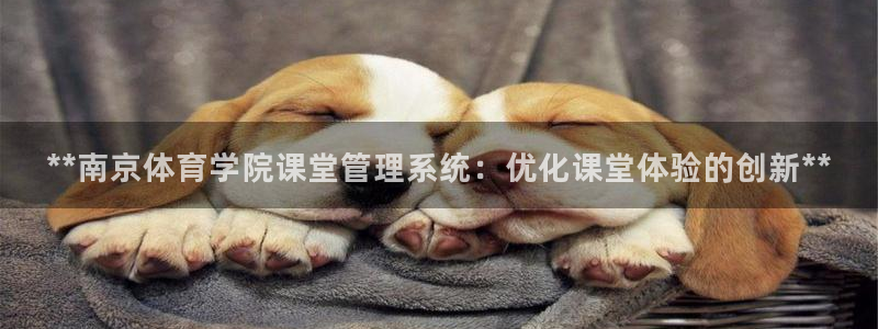 必一体育是啥：**南