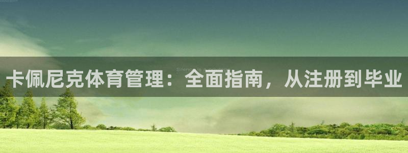 必一体育旧版：卡佩尼