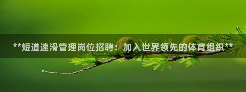 必一体育运动app：