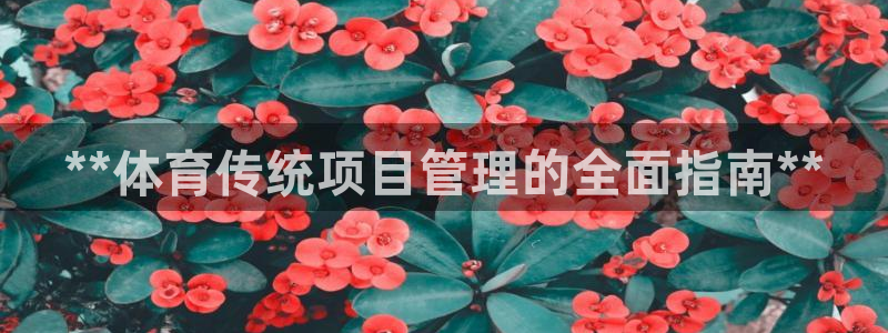 必十二和必一的副作用