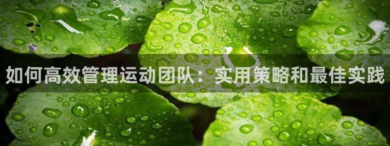 必一体育在线登录：如
