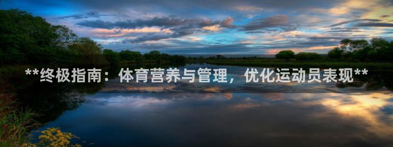 必一体育官方网站入口