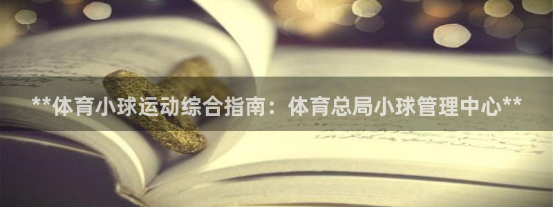 必一体育是哪里的台子