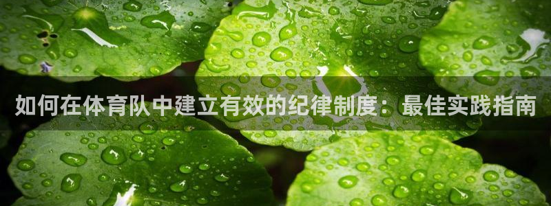 必一体育黑平台：如何