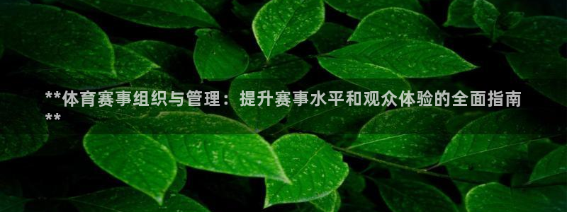 必一体育是啥：**体