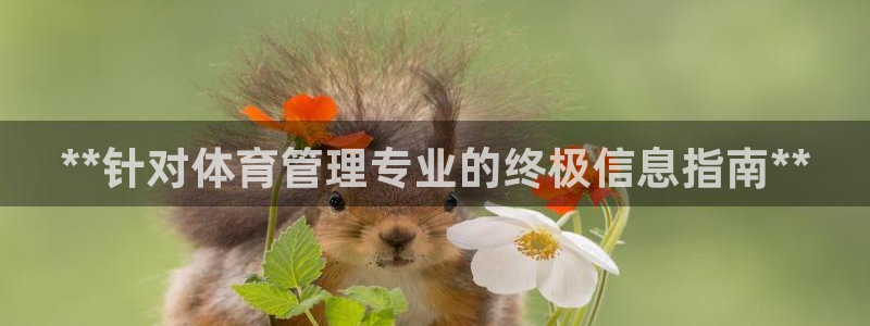 必一体育手机下载：*