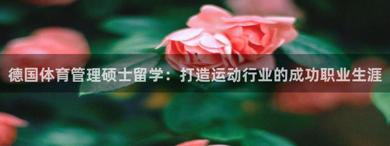 必一体育官网app：