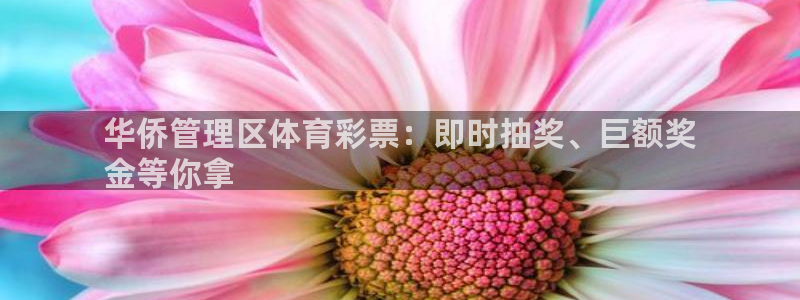 必一体育在线登录：华