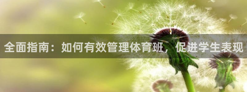 必一体育网站：全面指