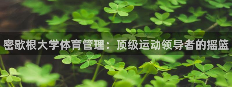 必一体育sport下