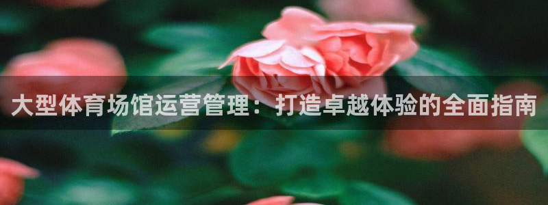 必一体育旧版：大型体