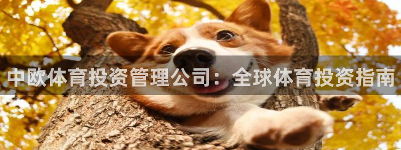 必一体育下载app：