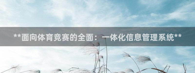 必一体育能提现大金额