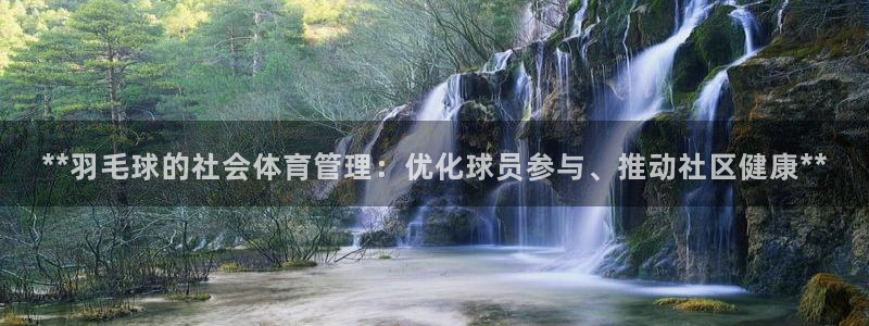 必一体育网页登录版官