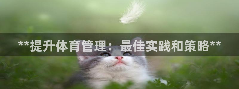 必一体育能提现大金额