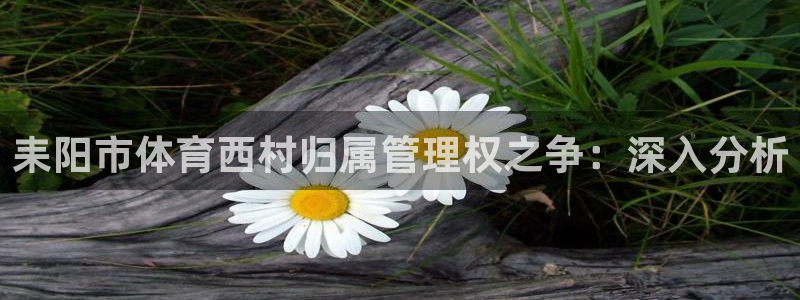 必一体育运动下载：耒