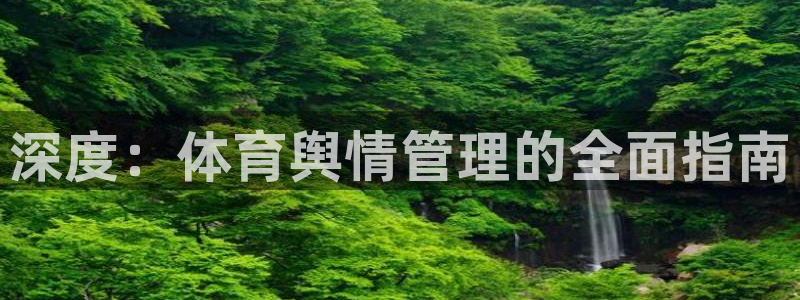 必一体育网页登录版官
