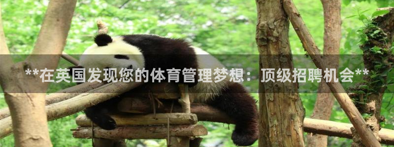 必一体育app下载：