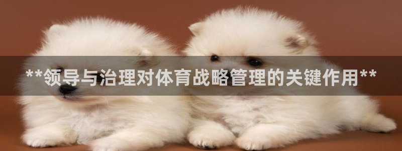 必一体育合法吗：**