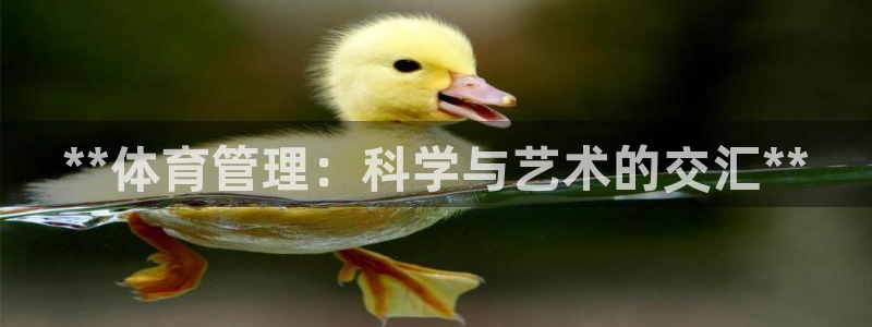 Bsport体育ap