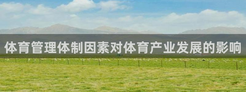 必十二和必一的副作用