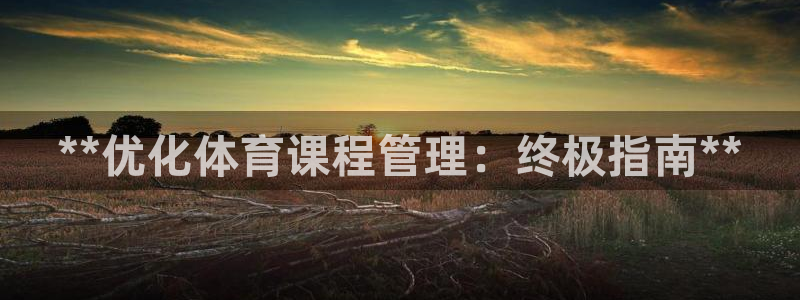 b体育官网下载入口a