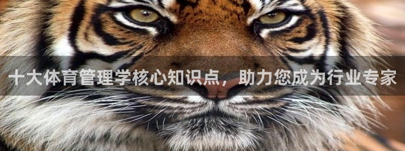 必一体育官网入口：十