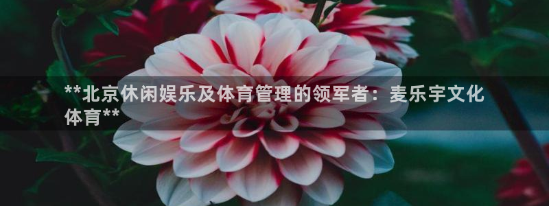 必一体育在线登陆：*