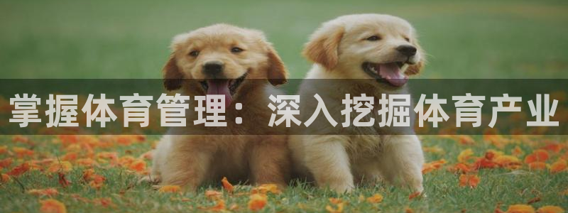必一体育电子app：