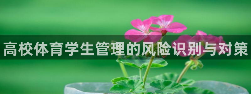 b体育必一运动网页版