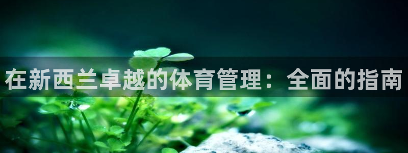 必一体育游戏特色：在