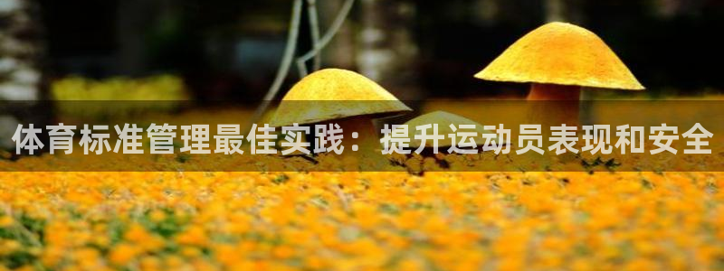 必一体育下载意思：体
